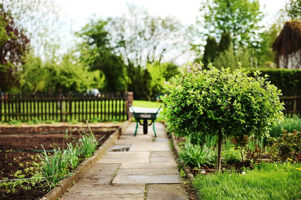 Aménager son jardin devient plus simple qu'on ne le pense